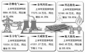 新興能源產業(yè) 企業(yè)發(fā)展戰(zhàn)略與技術創(chuàng)新前景